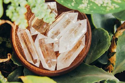 studio-kealaula-YRrj9QMbv9o-unsplash