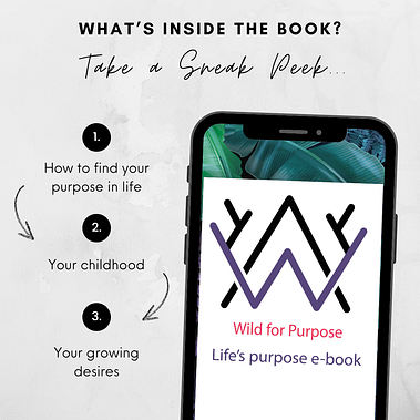 Life's Purpose e-Book (1)